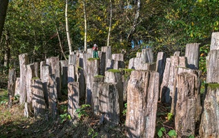 Niedergrafschafter Schweiz - 26.10.2024