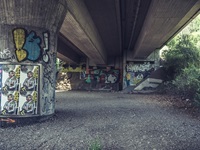 Graffiti Nippeser Schweiz