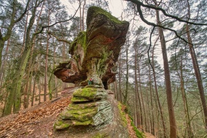 Felsen Pfälzer Schweiz Dahn