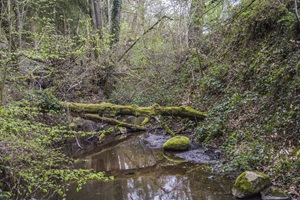 Wanderweg Rahns Steinbach Plattener Schweiz