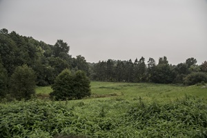 Pölitzer Schweiz