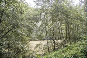 Teich Pölitzer Schweiz