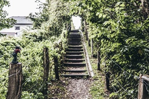 Wanderweg Pölitz Barnitz
