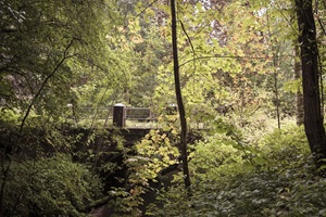 Brücke Pölitzer Schweiz Pölitz