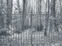 Einsames Tor im Wald Pönitz