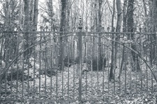 Einsames Tor im Wald Pönitz