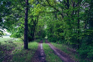 Wanderweg Prignitzer Schweiz