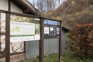 Urwaldpfad Rüdigsdorfer Schweiz