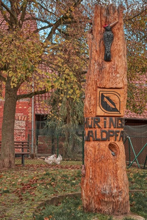 Thüringer Urwaldpfad