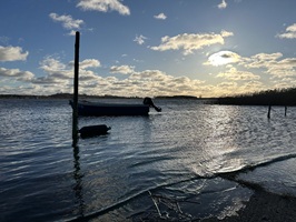 Ostsee klein Zicker