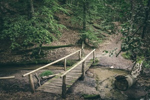 Brücke Binenbach Ruppiner Schweiz