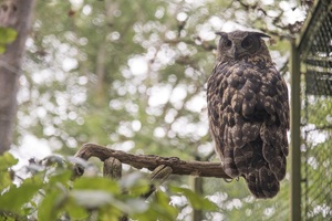 Ruppiner Schweiz Tierpark