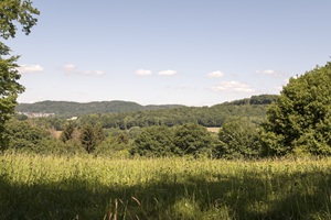 Aussicht Saarländische Schweiz