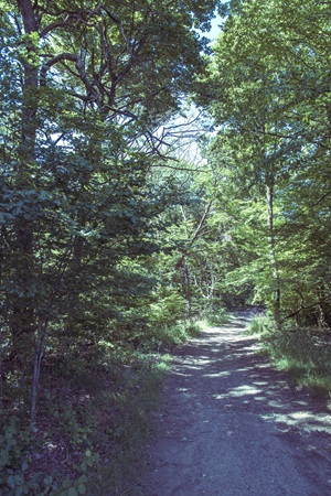 Wanderweg Bergweiler