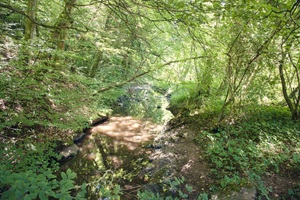 Saarländische Schweiz