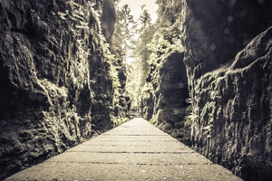 Wanderweg Sächsische Schweiz
