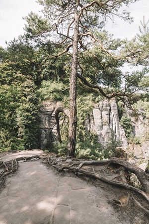 Sächsische Schweiz