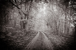 Wanderweg Schlechtsarter Schweiz