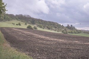 Ausblick Schlechtsarter Schweiz