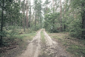 Wanderweg Schmessauer Schweiz