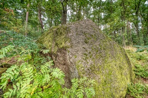 Opferstein von Plumbohm