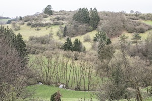 Schönecker Schweiz - 31.03.2024