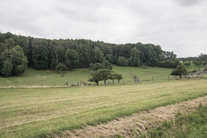 Spalter Hügelland