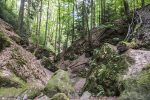 Massendorfer Schlucht