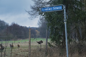 Spradower Schweiz - 12.02.2023