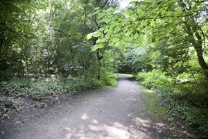 Weg Stellinger Schweiz