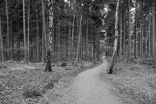 Wanderweg Lütjensee Stormarnsche Schweiz