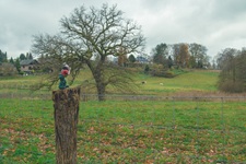 Stormarnsche Schweiz - 19.11.2021