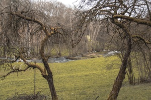 Strohner Schweiz - 31.03.204