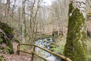 Strohner Schweiz