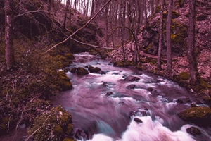 Alfbach Strohner Schweiz