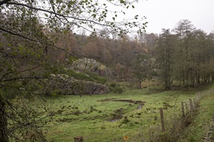 Suhler Schweiz