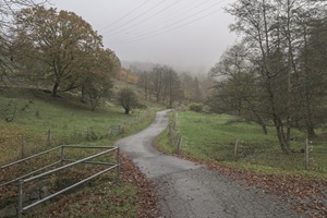 Suhler Schweiz - 02.11.2024