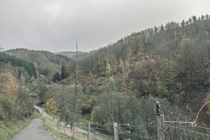 Ausblick Suhler Schweiz