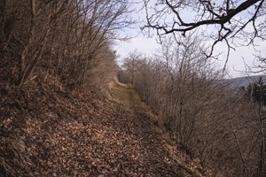 Wanderweg Sulzbacher Schweiz