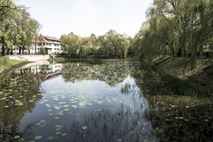 Weiher Lindenhof Tempelhofer Schweiz