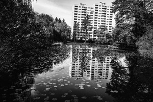 Weiher Lindenhof Tempelhofer Schweiz