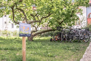 Lindenhof Siedlung Tempelhofer Schweiz
