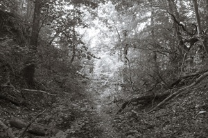 Wanderweg Thüringer Schweiz