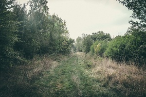 Wanderweg Törtener Schweiz