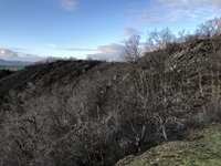 Ausblick Trimbser Schweiz