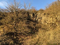 Fels Trimbser Schweiz