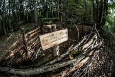 Uriger Wald Arche Unkeler Schweiz