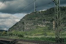 Weinberge Unkel Unkeler Schweiz