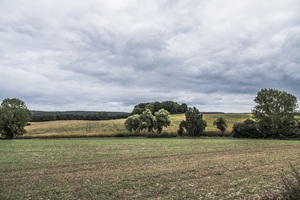 Ausblick Usedomer Schweiz