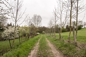 Wanderweg Utenbacher Schweiz